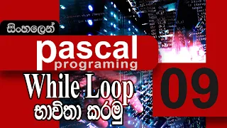 How to work with while loop Pascal Programming SINHALA