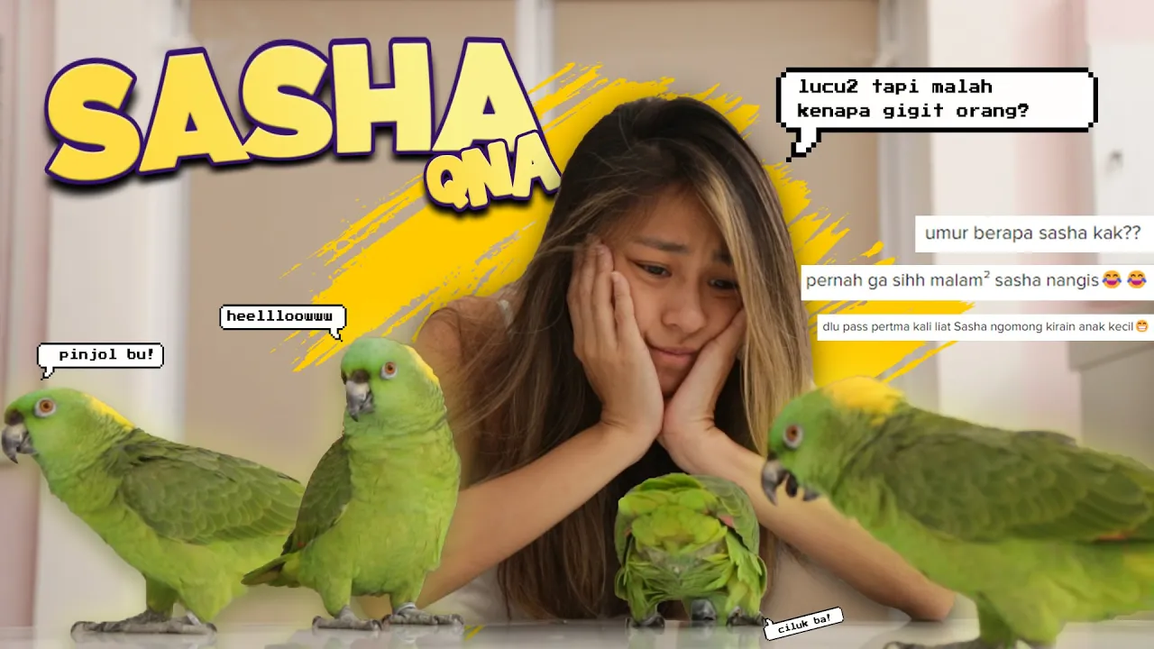 Jacqueline's Sanctuary | QNA Sasha Dari Netizen Budiman..