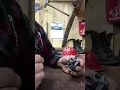 Carb Adjustment Tutorial