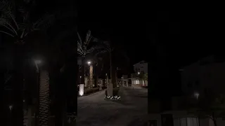 زين طاري الحب يازينه زايد بن سابر تصميم شيلات 