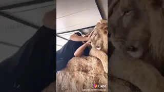 والله بانت الحكاية نوتيلا انتي ونغايا 