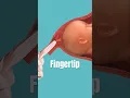 Download Lagu Membrane Sweep Procedure #pregnancy