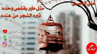 حاتم العراقي مثل طير بقفص وحده 