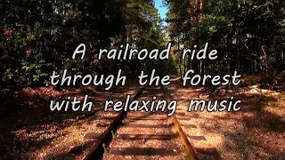 رحلة على سكة القطار عبرالغابة مع موسيقى هادئة A Railroad Ride Through The Forest With Relaxing Music 