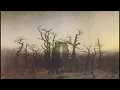 Nicolaus Kraft - Cello Concerto No.1 in E-minor, Op.3 (1815)