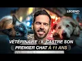 Download Lagu VÉTÉRINAIRE AUX URGENCES ANIMALES: IL SAUVE UN CHAT EMPALÉ APRÈS UNE CHUTE DE 5 ÉTAGES, IL RACONTE