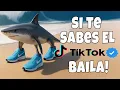 Download Lagu SI TE SABES EL TIKTOK BAILA (2025)