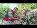 Download Lagu IKAN DI SPOT INI TAK ADA ABIS NYA||MASAK ASIL BURUAN DI LOKASI