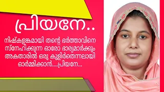 gibiya rasheeda nazer nazer