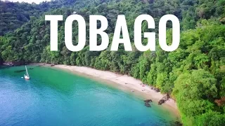 Karibik SEGELN: Wunderschönes Tobago und wie wir Regenwasser auffangen || Sailing 7seas #40