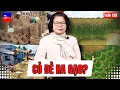 Download Lagu Cỏ đẻ ra gạo? | 5 Phút Chuyện Thị Trường | Tuần 139