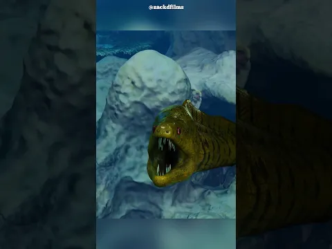 #bts
