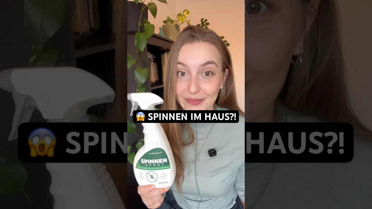 Spinnen im Haus? 🕷️ So einfach kannst du Spinnen aus deiner Wohnung fernhalten! 🏡
