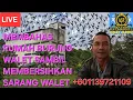 Download Lagu MEMBAHAS RUMAH BURUNG WALET SAMBIL MEMBERSIHKAN SARANG WALET