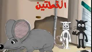 أبلة فضيلة    قصة القطتتين والفار دندنها