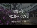 진달래꽃 피었습니다(알리) 산조대금 커버 | Azaleas(ALi) with Daegeum
