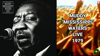 Discografia Ao Vivo Muddy Waters |1960 - 2018| Canal Discografia
