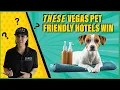 Luxury Vegas Pet Hotels in 2025