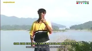 Download Cikgu Naim - Cicak | Lirik \u0026 Substitle Dikir MP3