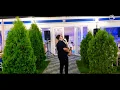 Download Lagu 'Catalin Piteşteanu \u0026 Petrică de la Câmpurelu' \u0026 Formaţia Piteştenii\