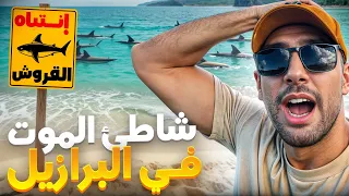 اخطر شاطئ في العالم هنا أسماك القرش تهاجم السباحين في كل مكان 