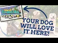What is there to do with my dog in Aiken SC