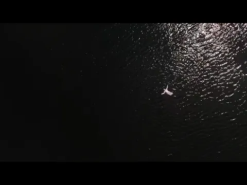 JUMP trailer @vandergrijn1