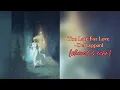 Too Late For Love - Def Leppard (slowed + echo)
