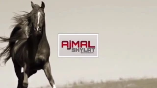 جديد 2017 شيلة طرب وقفت لعيون القبيلة شبل الدواسر 