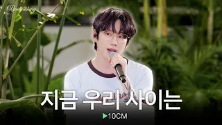 평범한 하루도 로맨스 영화로 만들어 버리는🎬 10CM의 ‘지금 우리 사이는’♬