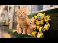Download Lagu Ginger and Mama Cat Work at the Fried Chicken Shop—All for a Transformers Toy! 🍗🤖💛