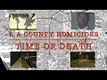 Man Murdered by 53 Avalon Gangster Crips in Vermont-Slauson
