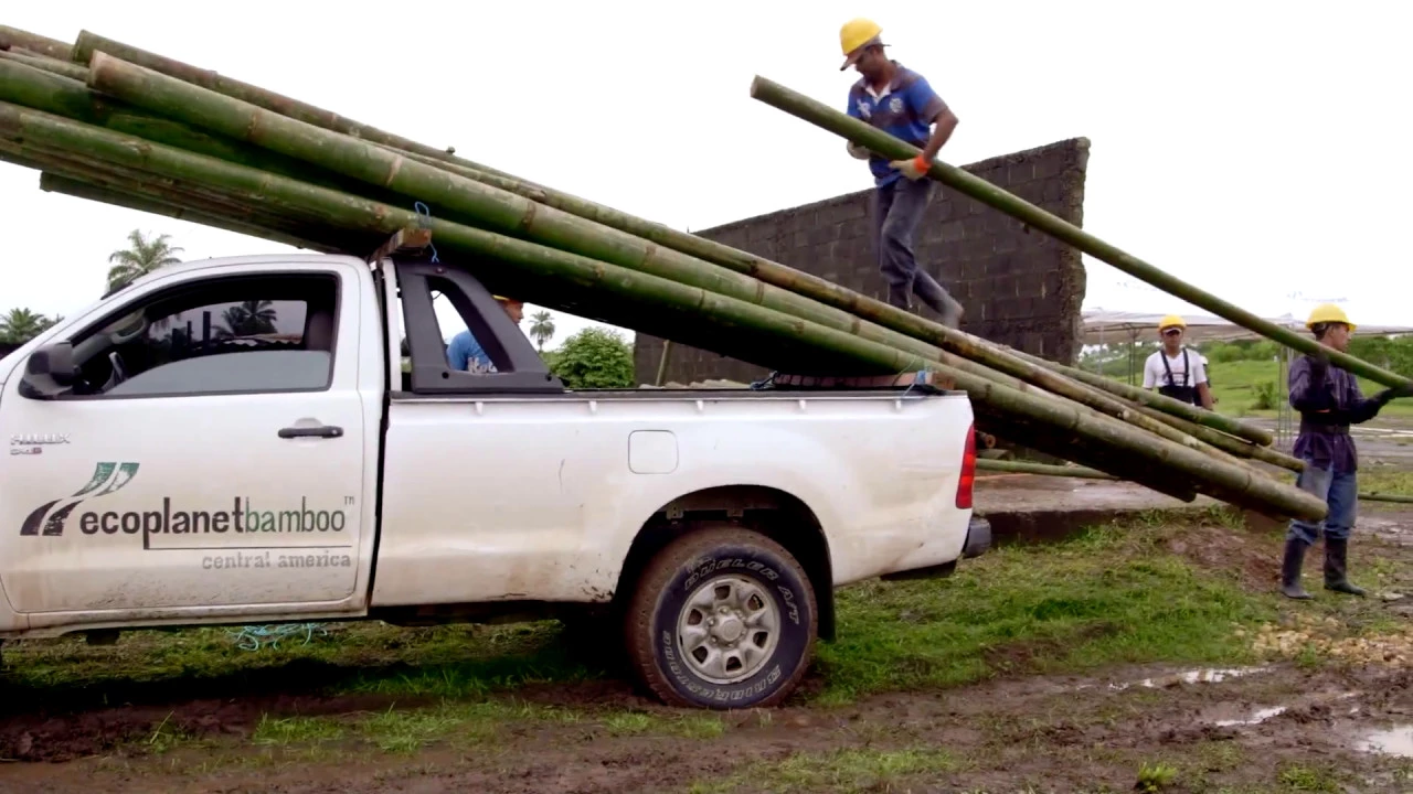 Outline Video Sustainable Bamboo Plantations - EcoPlanet Bamboo's Mission Presented By CEO Troy Wiseman