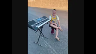 روح المولد يا سندس مولد حمص وحلاوه مولد الليله الكبير وليد دالاس 