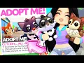 ALL 6 ITEM LOCATIONS 2 NEW PETS Adopt Me