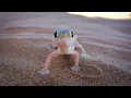 Joe Goddard Feat  Valentina - Gabriel (Bee Bar Just Tech Mix)
