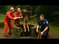 Download Lagu German Shepherd Trapped in Well Rescued by Brave Rescue Team 🐕‍🦺