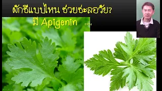 ผักชีชนิดไหนที่มีประโยชน์ต่อการย้อนวัย และควรกินปริมาณเท่าไหร่ต่อวัน?