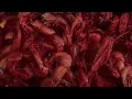 Murilo Chester - Aroeira (Clipe Oficial)