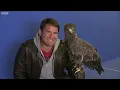 How does an eagle fly? | Deadly 60 | Series 2 | BBC