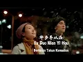 Download Lagu Xu Duo Nian Yi Hou - 许多年以后 - Bertahun Tahun Kemudian - Lagu Mandarin Subtitle Indonesia - Lirik
