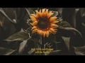 Download Lagu Sunflower - Sierra Burgess (Sierra Burgess Is A Loser) Lyrics