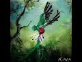 Quetzal - Montezuma