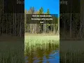 Download Lagu Allah tidak menunda jawaban, Dia menunggu waktu yang paling tepat.