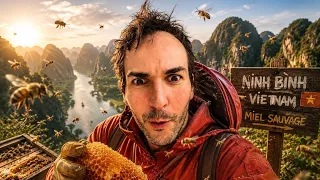 Ông Săn Ong Rừng Giữa Núi Rừng Việt Nam 🇻🇳  | Will in Vietnam