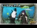 FFXIV 4 2 New Aquarium Fish