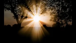 تحليل اسم مشرق 