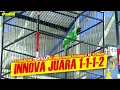 Download Lagu CUCAK IJO TERTUA DI INDONESIA #fyp