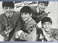 The Beatles en español - Siempre te amaré