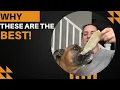 Review of Premium Beefhide Chips for Dogs